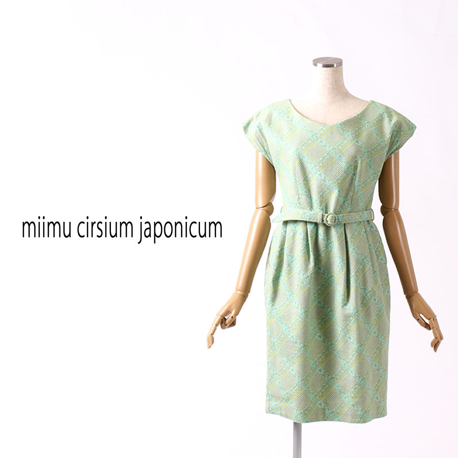 Vネック フレンチスリーブ ワンピース(Mサイズ/グリーン/miimu cirsium japonicum(ミイム サーシアム ジャポ二カム))USED