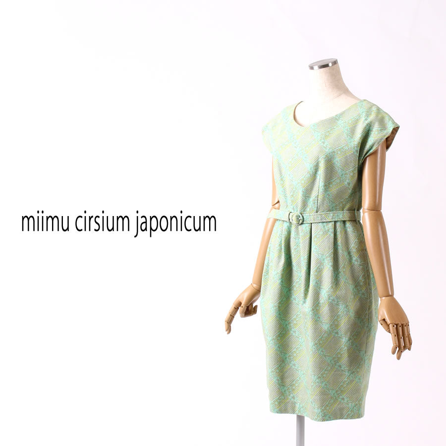 Vネック フレンチスリーブ ワンピース(Mサイズ/グリーン/miimu cirsium japonicum(ミイム サーシアム ジャポ二カム))USED