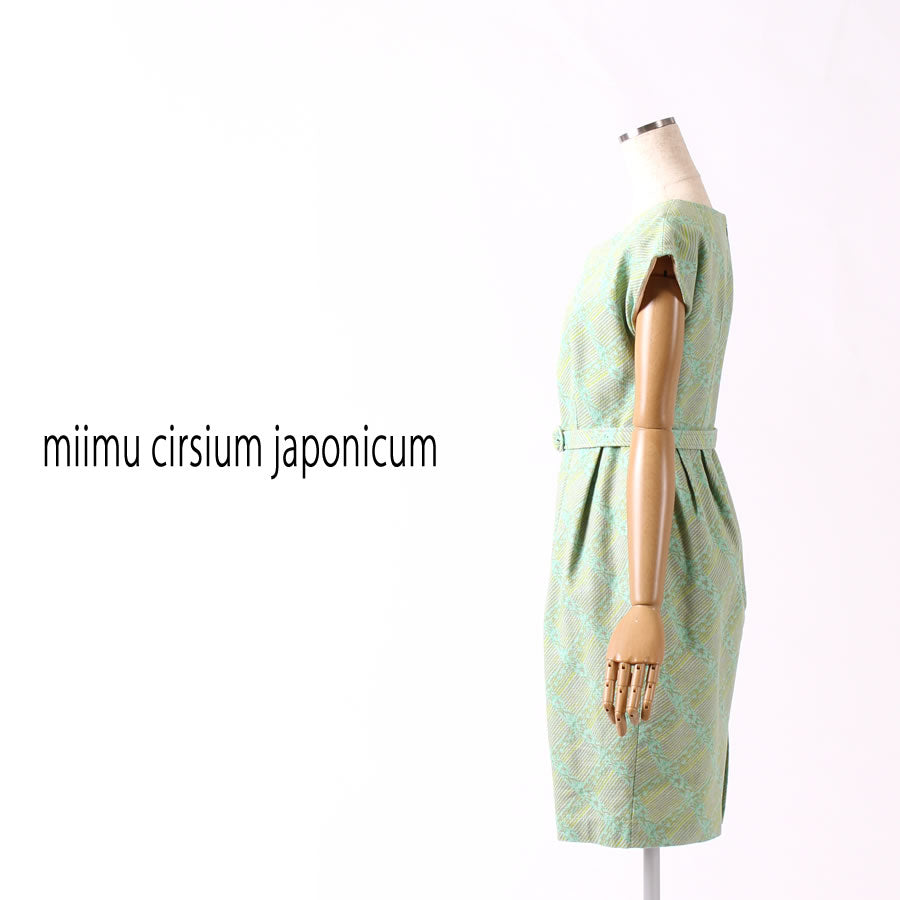 Vネック フレンチスリーブ ワンピース(Mサイズ/グリーン/miimu cirsium japonicum(ミイム サーシアム ジャポ二カム))USED