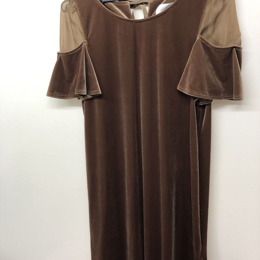 VELOR×SHEER DRESS(Mサイズ/ブラウン/JILLSTUART(ジル スチュアート))USED