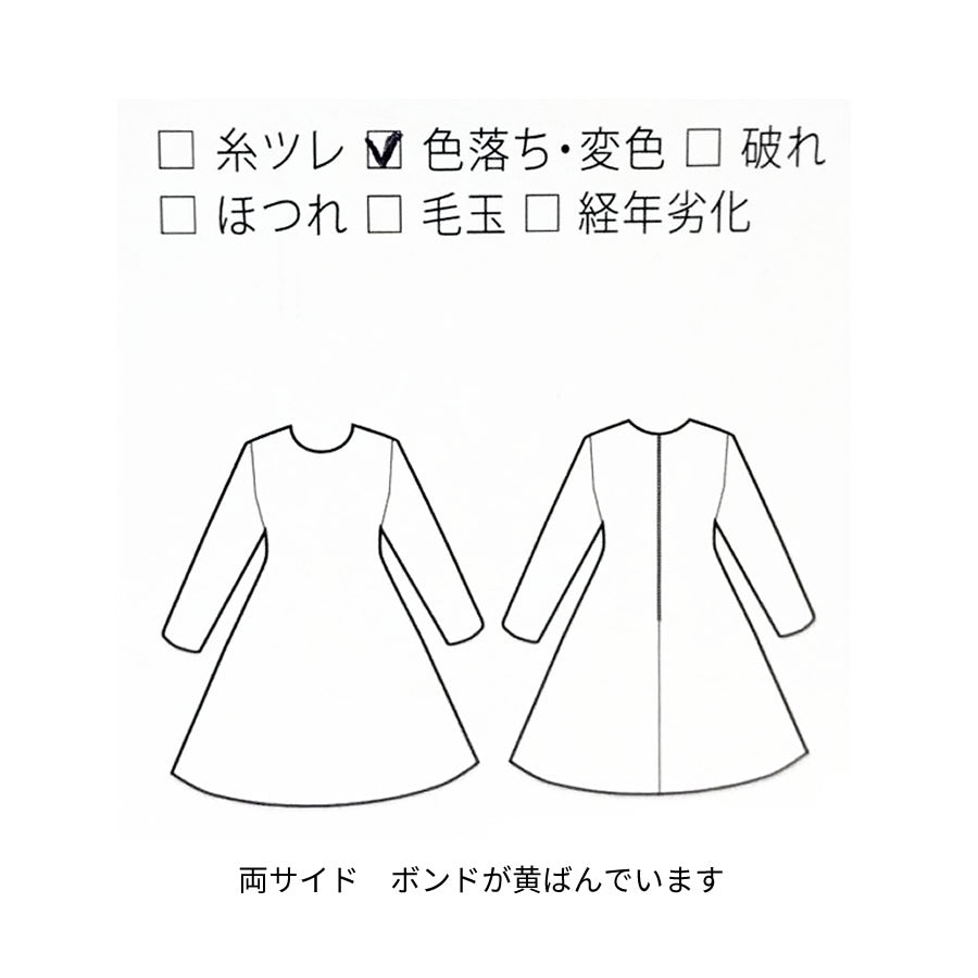 レースクラッチバッグ(Fサイズ/シルバー/Brista(ブリスタ))